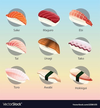 Sashimi sushi set vector image