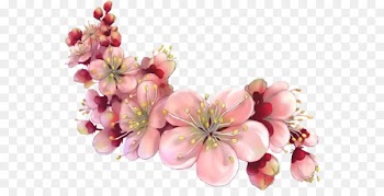 Saturday Morning - floating petals 