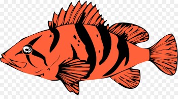 Saturna Island Marine biology Marine life Fish Animal - marine life 