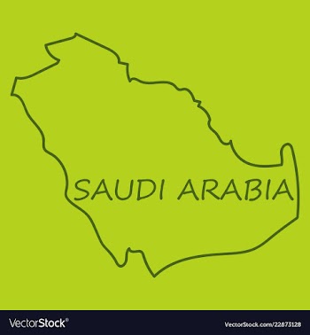 Saudi arabia map with flag vector image