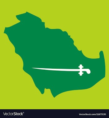 Saudi arabia map with flag vector image