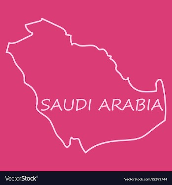 Saudi arabia map with flag vector image