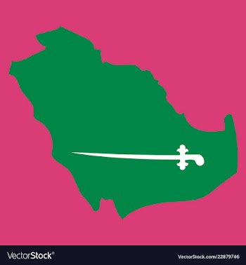 Saudi arabia map with flag vector image