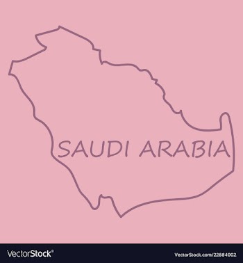 Saudi arabia map with flag vector image