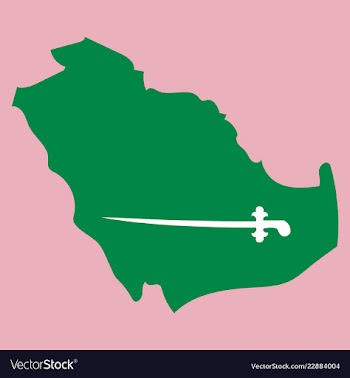 Saudi arabia map with flag vector image