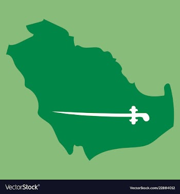 Saudi arabia map with flag vector image