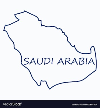 Saudi arabia map with flag vector image