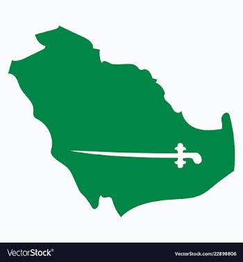 Saudi arabia map with flag vector image