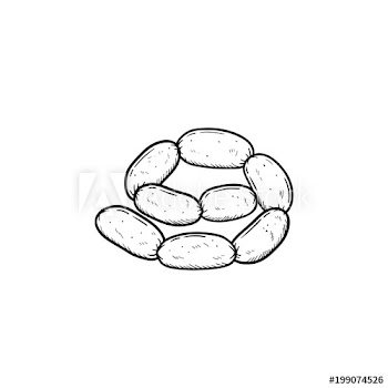 Sausage chain hand drawn outline doodle icon
