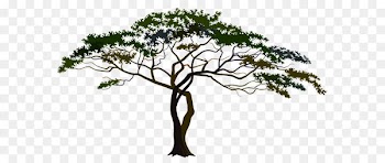 Savannah Clip art - Savannah Tree PNG Clipart Image 