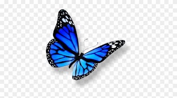 Save - Heal Breast Cancer Naturally - 7 Essential Steps