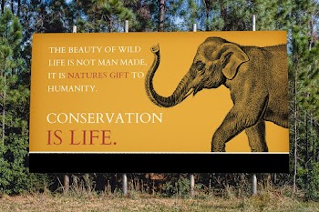 Save the animal billboard, remixed from… | Free stock photo | High Resolution image