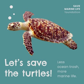 Saving marine life Facebook post | Free PSD Template - rawpixel
