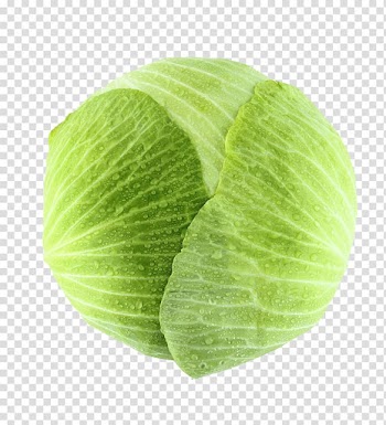 Savoy cabbage Broccoli Nutrition facts label Vegetable, Creative flat cabbage transparent background PNG clipart