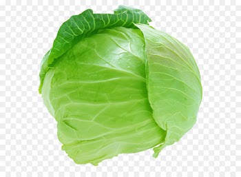 Savoy cabbage Coleslaw Brussels sprout Cauliflower - Fresh Cabbage PNG Picture 