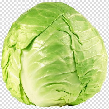 Savoy cabbage Collard greens Cruciferous vegetables Spring greens, cabbage transparent background PNG clipart