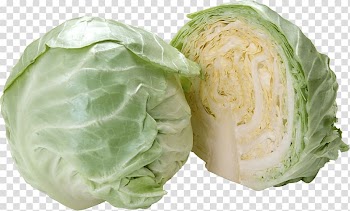 Savoy cabbage German cuisine Vegetable Kale, Cabbage transparent background PNG clipart