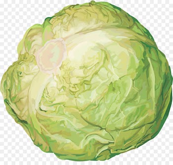 Savoy cabbage Vegetarian cuisine Cauliflower Red cabbage - cabbage 