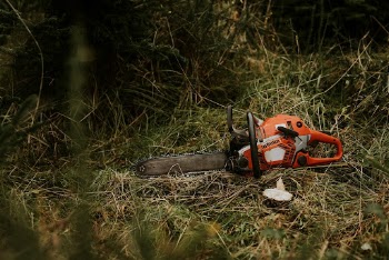 Saw on the grassy floor | Free Photo - rawpixel