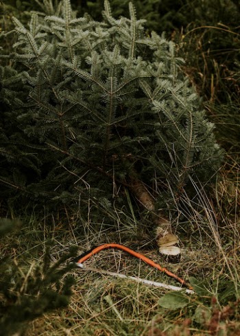 Saw on the grassy floor | Free Photo - rawpixel