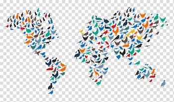 Saxon Fairy Swallow pigeon Bird World map, Birds world map color transparent background PNG clipart
