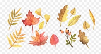 Scalable Vector Graphics Autumn Leaf Color Clip Art - Scalable Vector Graphics Autumn Leaf Color Clip Art