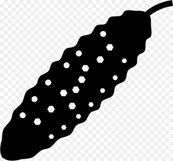 Scalable Vector Graphics Computer Icons Encapsulated PostScript File format - cucumbers silhouette 