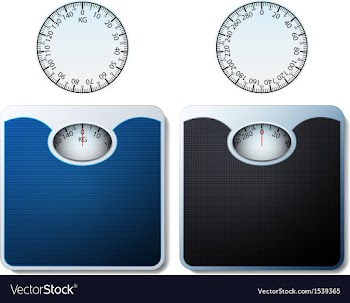Scales vector image