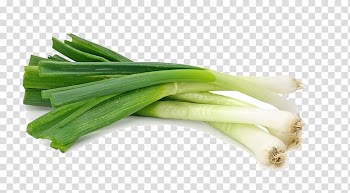Scallions illustration, Scallion Shallot Vegetable Garlic Food, Organic vegetables green onions transparent background PNG clipart