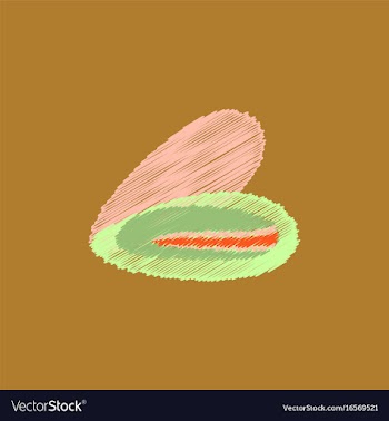 Scallop sea shell sketch style in hatching style vector image