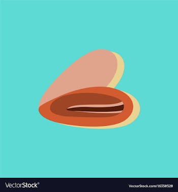 Scallop sea shell sketch style in sticker style vector image