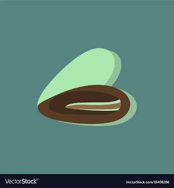 Scallop sea shell sketch style in sticker style vector image