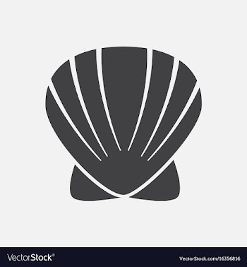 Scallop sea shell sketch style realistic vector image