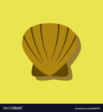 Scallop sea shell sketch style realistic vector image