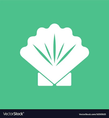 Scallop sea shell sketch style realistic vector image