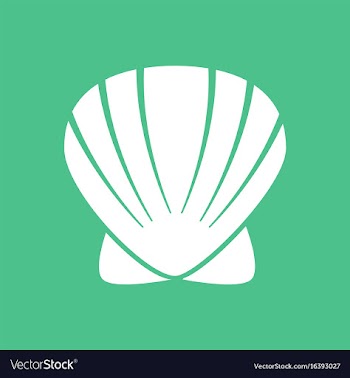 Scallop sea shell sketch style realistic vector image