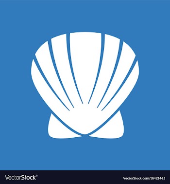 Scallop sea shell sketch style realistic vector image