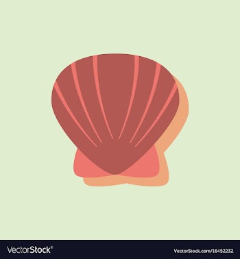 Scallop sea shell sketch style realistic vector image