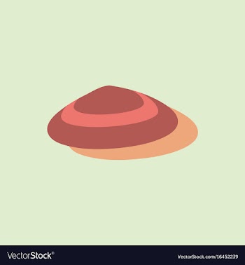Scallop sea shell sketch style realistic vector image