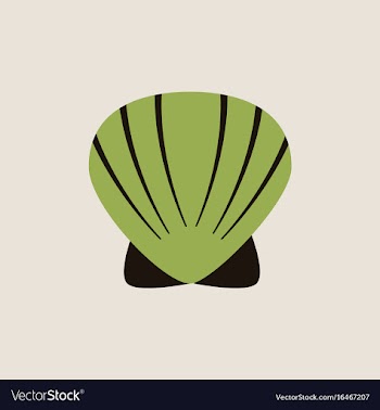 Scallop sea shell sketch style realistic vector image