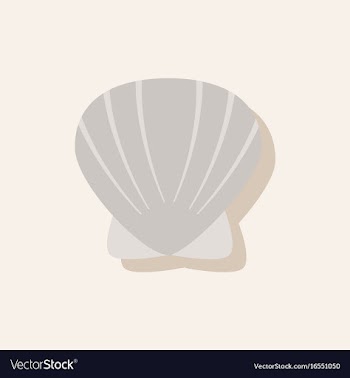 Scallop sea shell sketch style realistic vector image