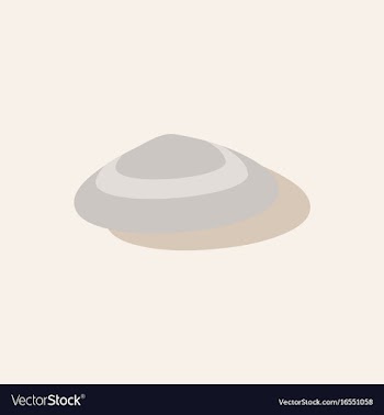 Scallop sea shell sketch style realistic vector image