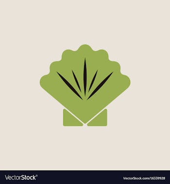 Scallop sea shell sketch style vector image