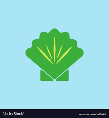 Scallop sea shell sketch style vector image
