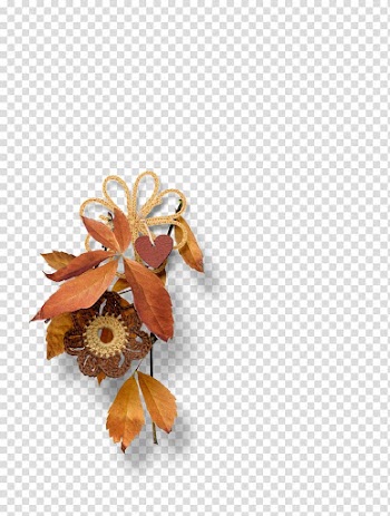 Scape , leave transparent background PNG clipart