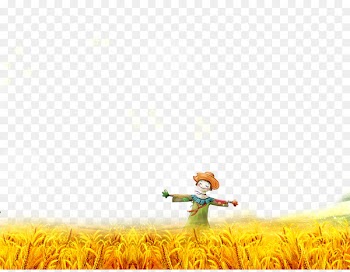 Scarecrow - Cornfield scarecrow 
