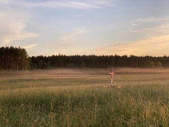 Scarecrow on Field