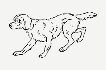 Scared dog drawing, vintage pet | Free PSD - rawpixel