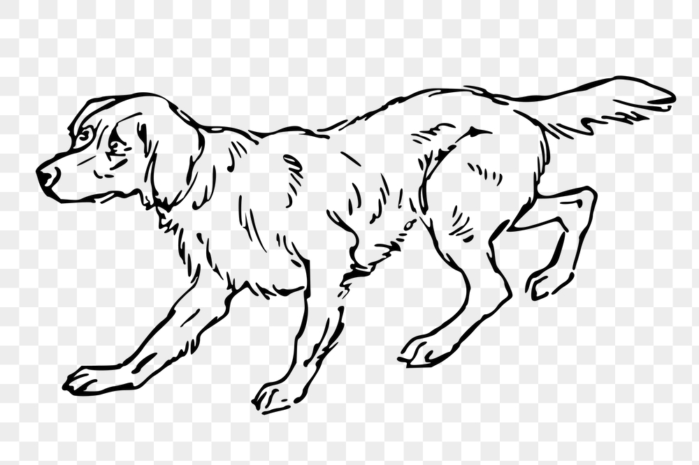 Scared dog png sticker, vintage | Free PNG - rawpixel