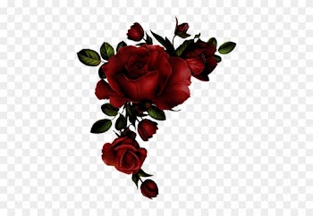 Scarletta - Red Roses Watercolor Png